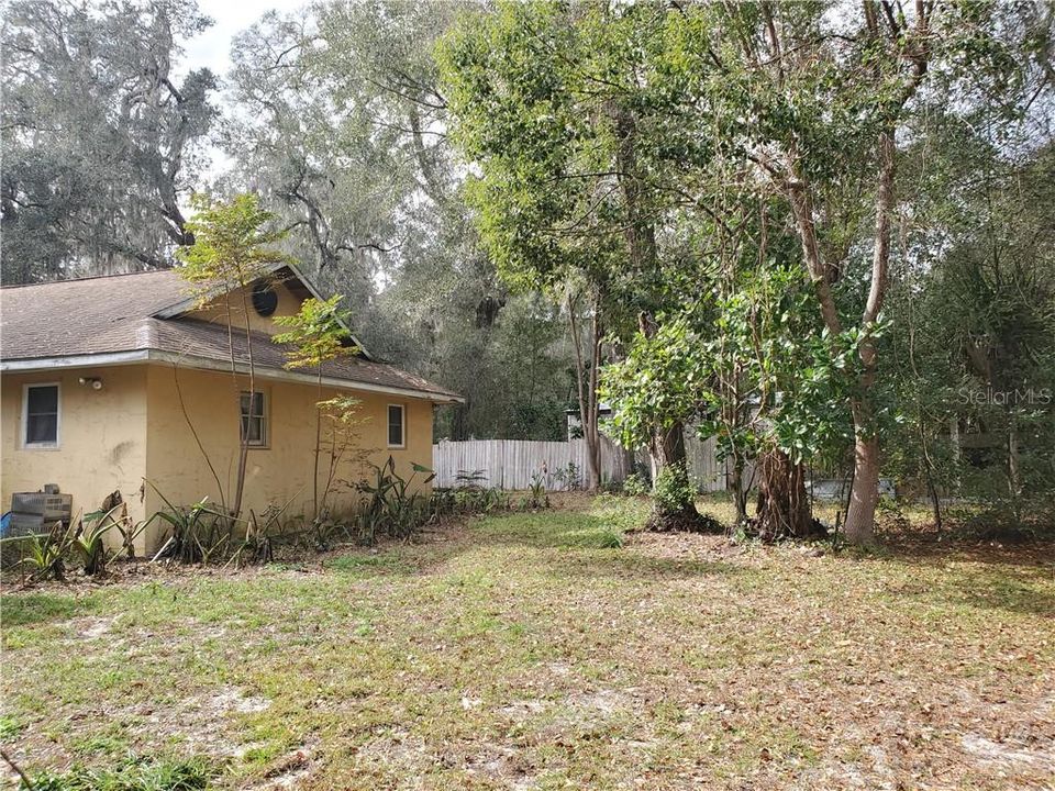 Fenced Side Yard