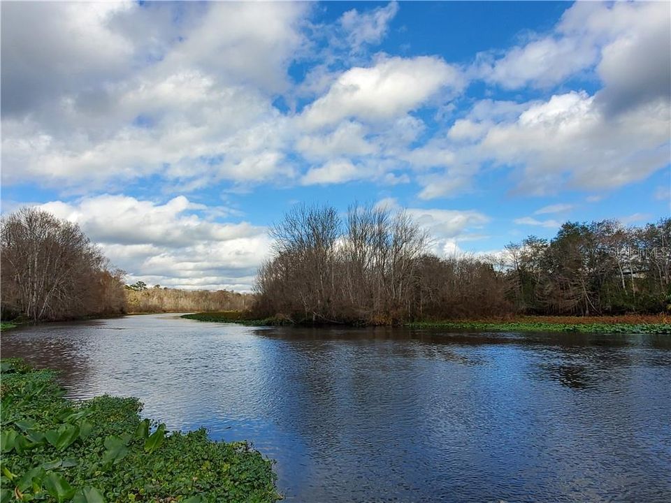 Ocklawaha River Within Walking Distance