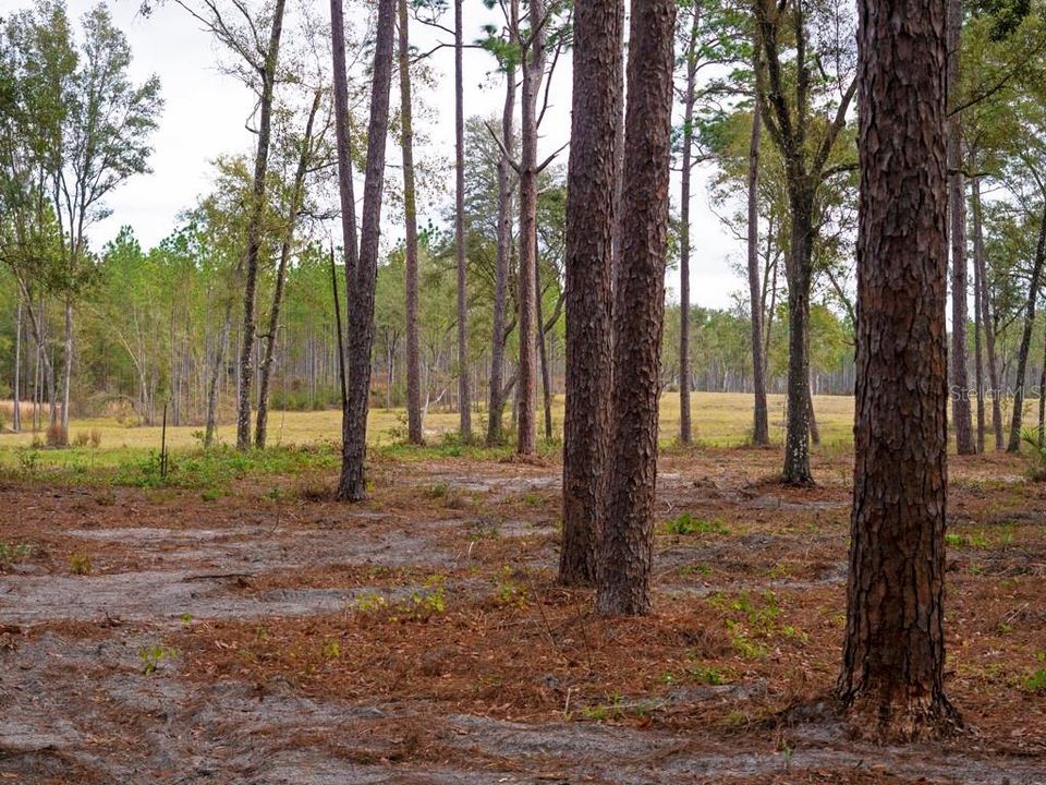 Недавно продано: $110,000 (6.04 acres)