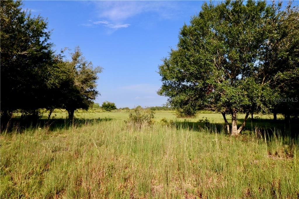 Vendido Recientemente: $864,500 (133.00 acres)