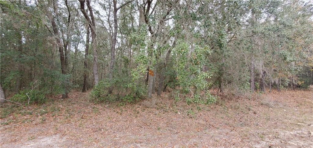 Recently Sold: $18,900 (1.06 acres)