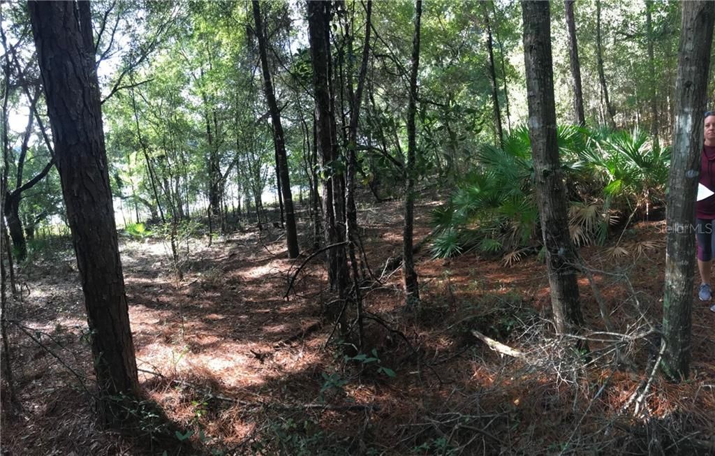 Vendido Recientemente: $44,500 (1.49 acres)