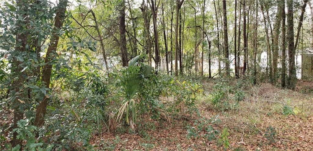 Recently Sold: $11,900 (0.28 acres)