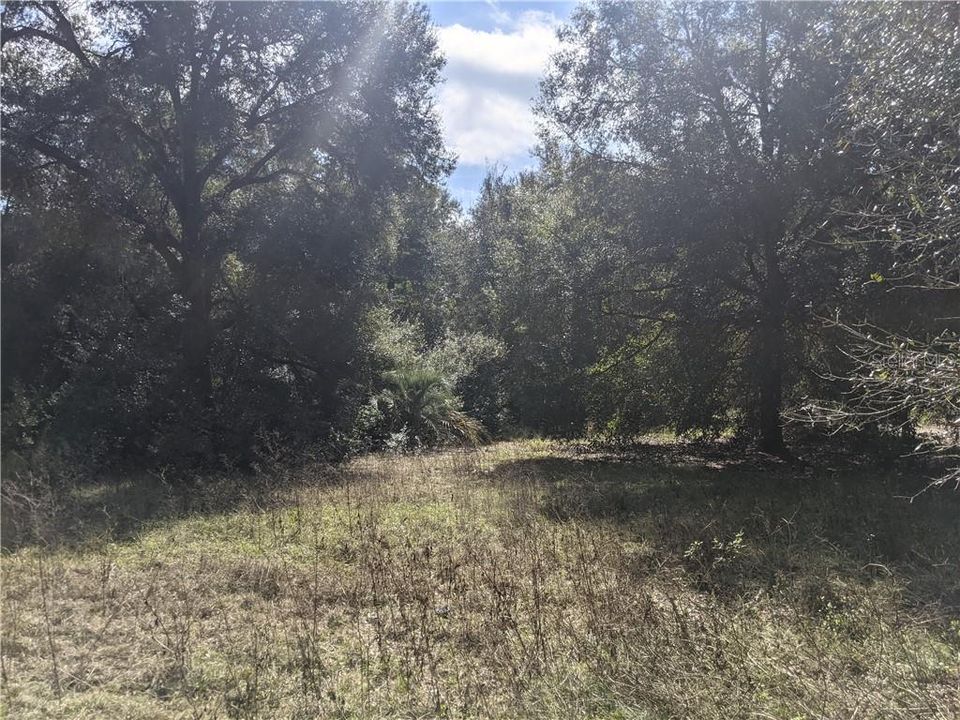 Recently Sold: $28,500 (0.50 acres)