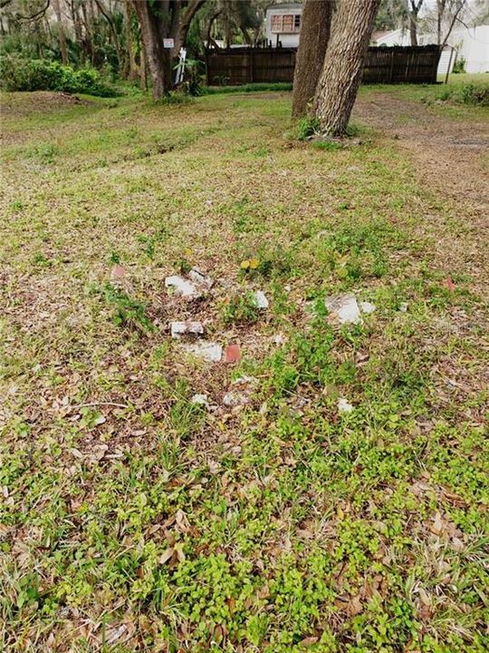 The location of the septic tank.