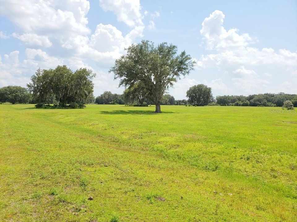 Recently Sold: $77,900 (12.80 acres)