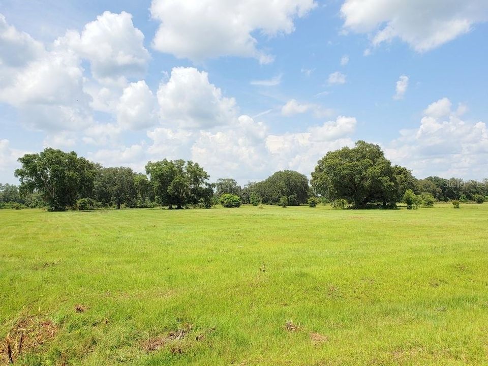 Recently Sold: $234,900 (32.10 acres)