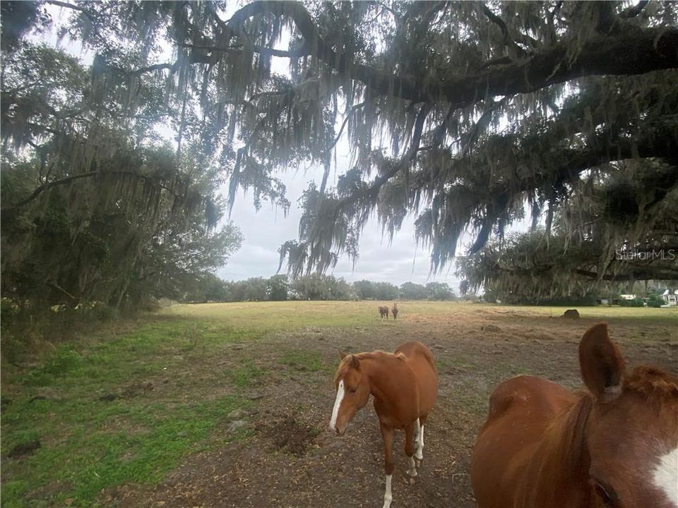 Vendido Recientemente: $100,000 (5.00 acres)