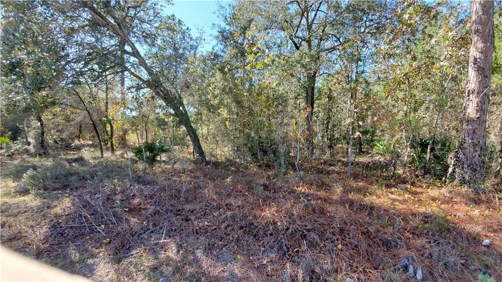 Recently Sold: $12,500 (0.57 acres)