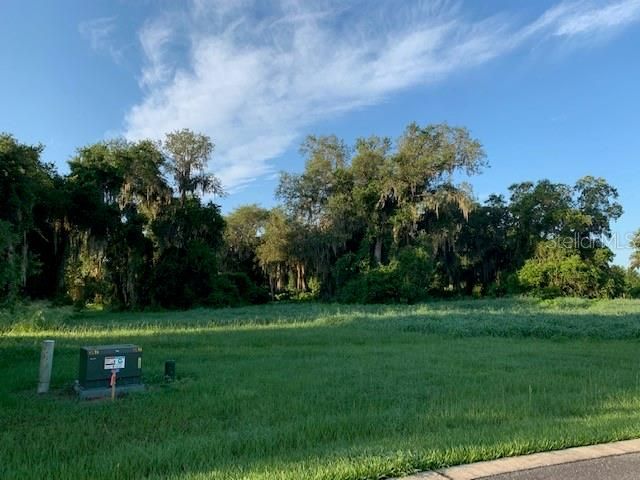 Recently Sold: $95,000 (1.16 acres)