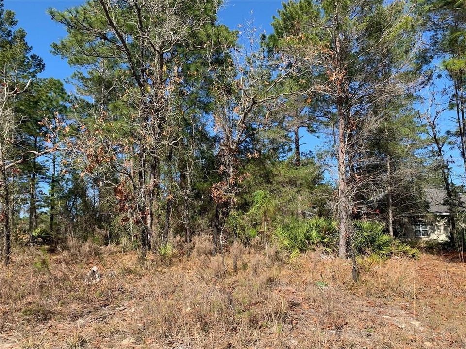 Recently Sold: $20,000 (0.50 acres)