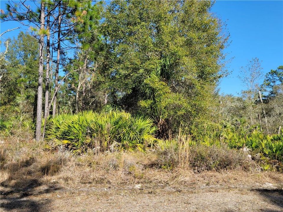 Recently Sold: $11,900 (1.16 acres)