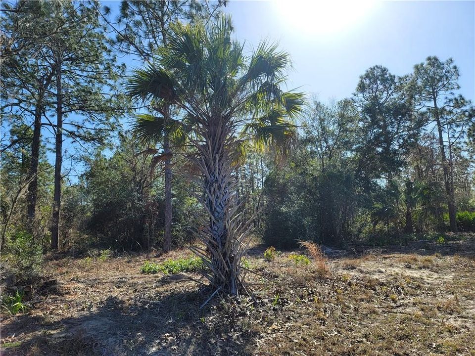 Recently Sold: $14,900 (1.72 acres)