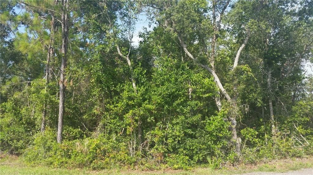 .50 ACRE LOT