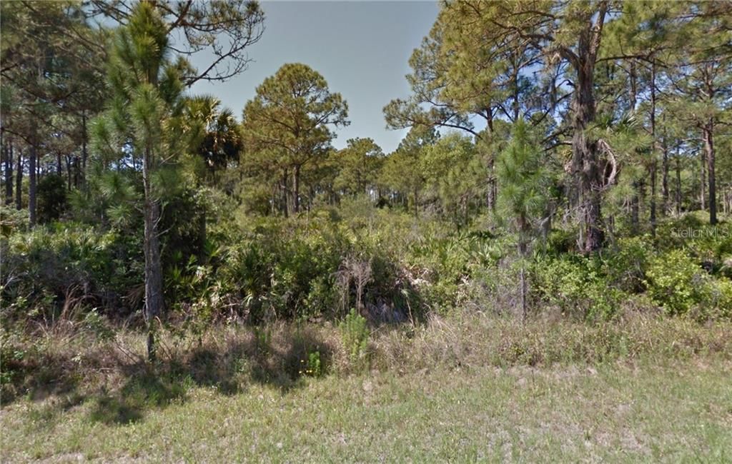 Recently Sold: $4,800 (0.23 acres)