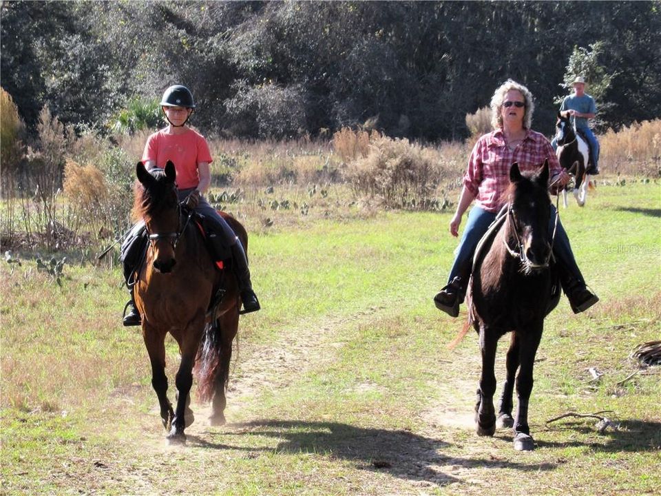 Lake Norris Conservation Area filled with miles of trails enjoyed by local horse groups