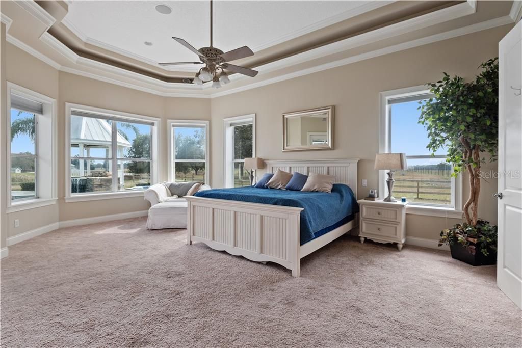 Trey Ceiling and Country Vista views through the double paned windows. Massive Crown Molding and French Doors lead to poolside.