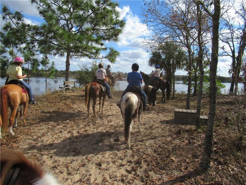 Lake Norris Conservation Area, miles of trails for horseback riding