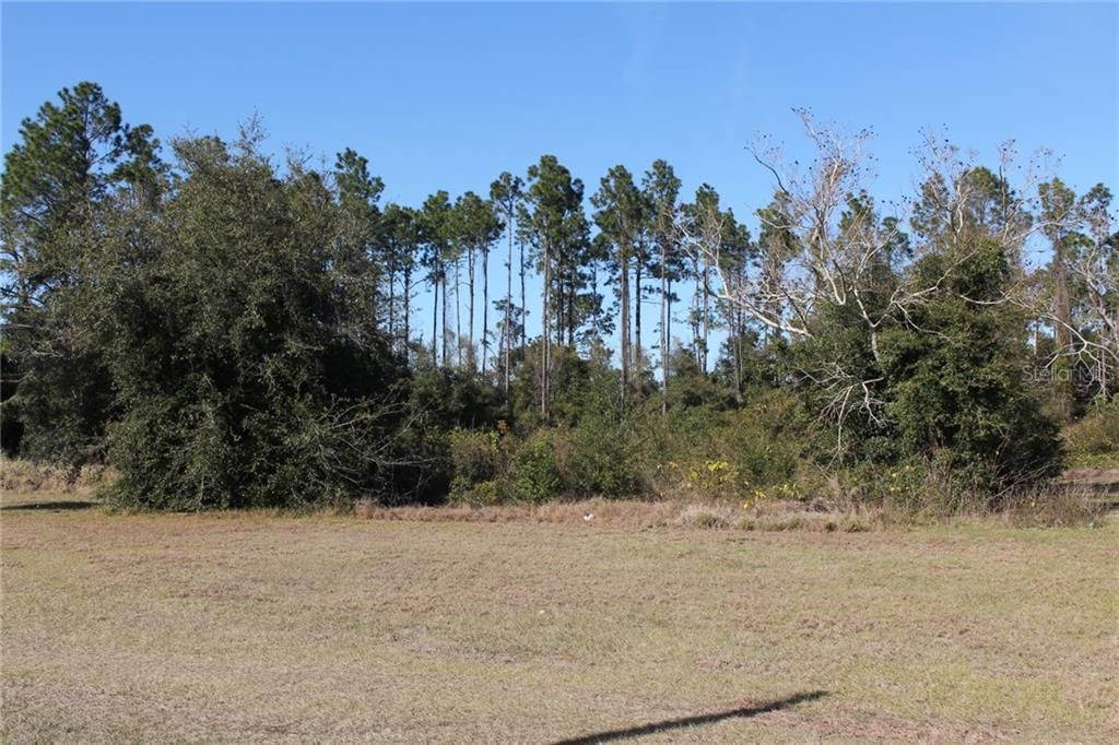 Recently Sold: $49,900 (0.30 acres)