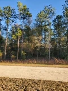 Recently Sold: $19,000 (1.14 acres)