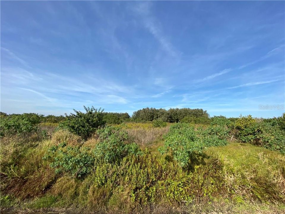 Recently Sold: $41,760 (3.48 acres)