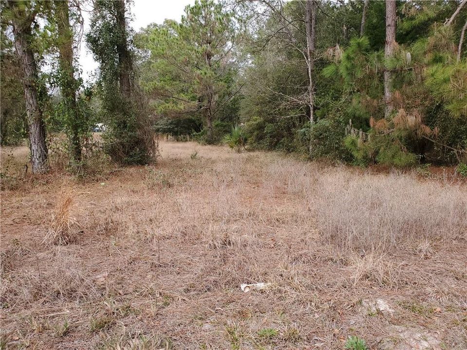 Recently Sold: $13,000 (0.28 acres)