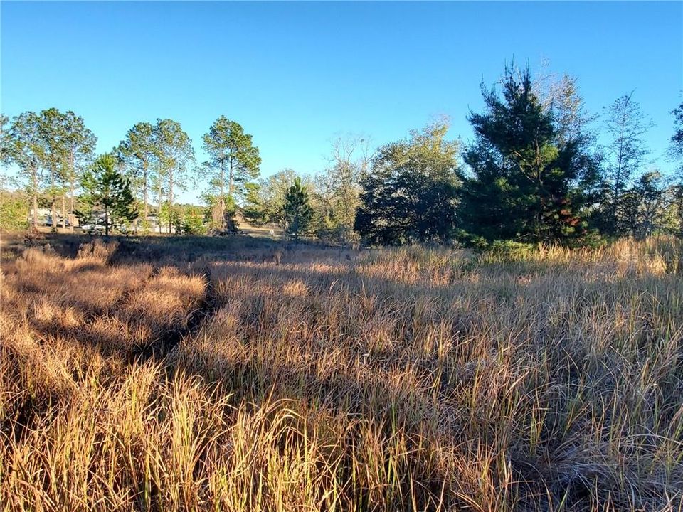 Recently Sold: $15,000 (2.50 acres)