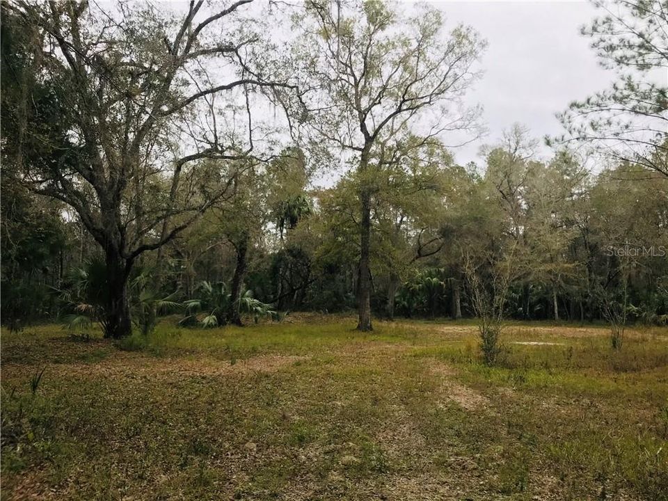 Recently Sold: $67,900 (3.14 acres)