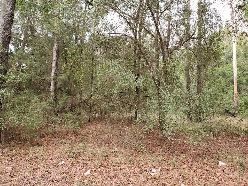 Vendido Recientemente: $13,000 (0.21 acres)