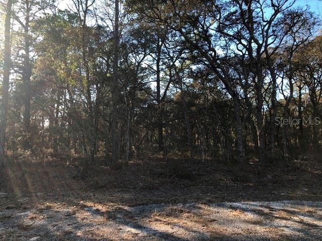 Recently Sold: $3,800 (0.25 acres)