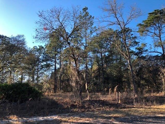 Recently Sold: $3,800 (0.25 acres)