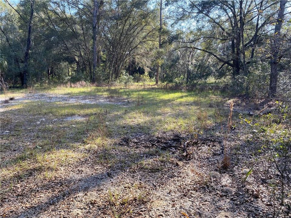 Recently Sold: $250,000 (38.90 acres)