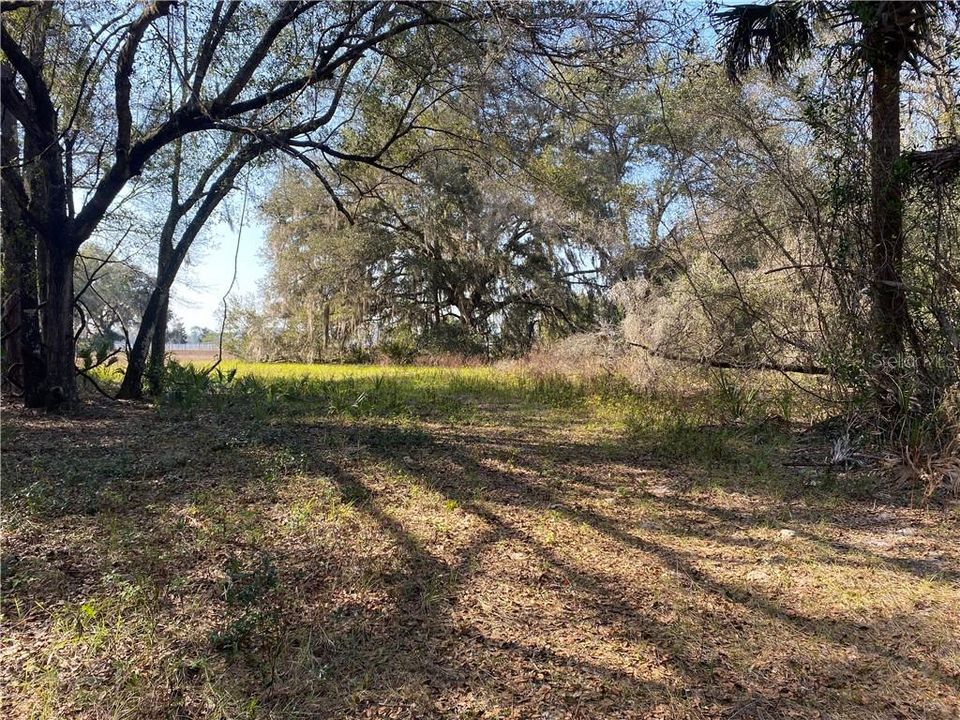 Recently Sold: $250,000 (38.90 acres)