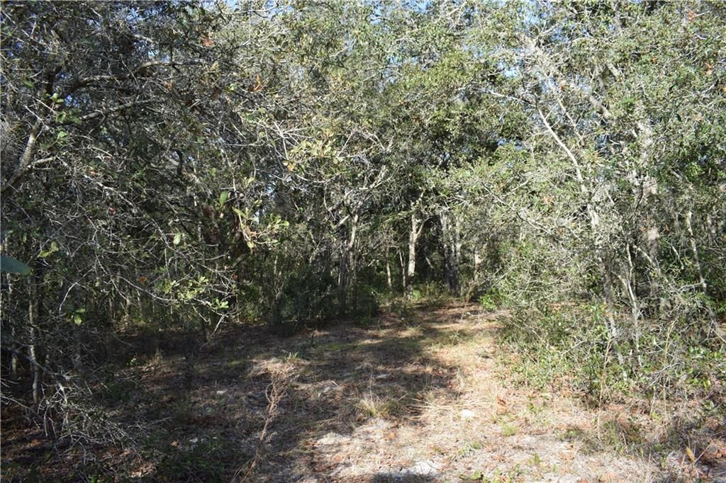 Recently Sold: $96,000 (5.00 acres)