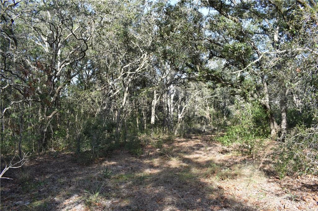 Recently Sold: $96,000 (5.00 acres)