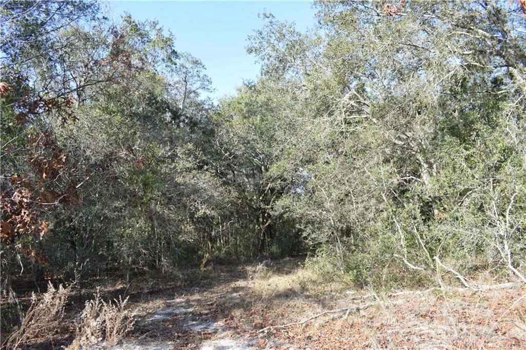 Recently Sold: $96,000 (5.00 acres)