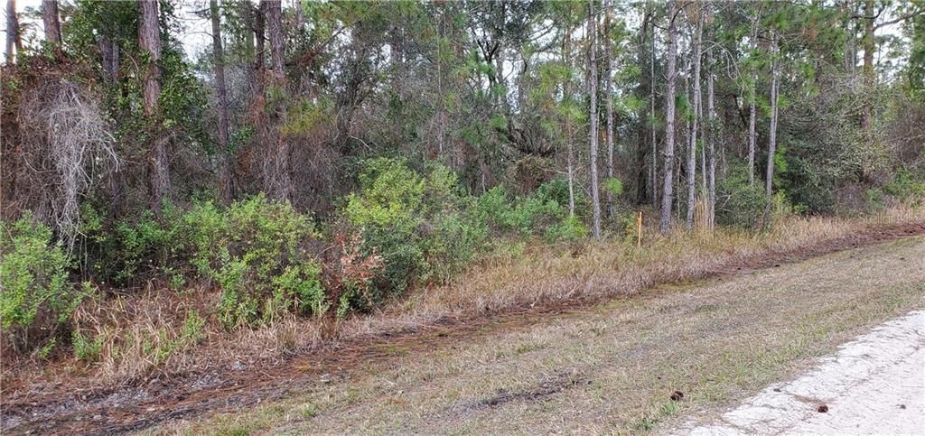 Recently Sold: $16,000 (0.26 acres)