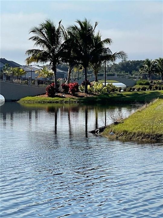 Недавно продано: $535,000 (3 спален, 2 ванн, 2108 Квадратных фут)