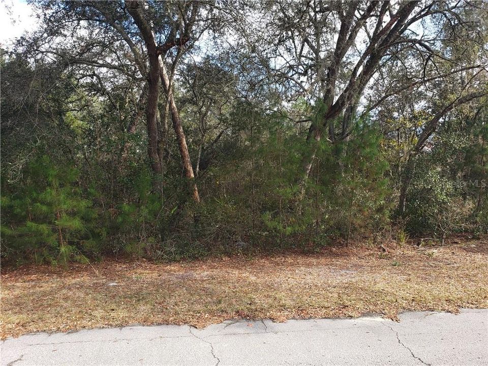 Recently Sold: $39,900 (1.00 acres)