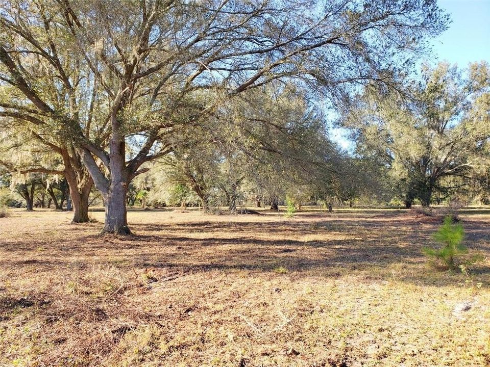 Recently Sold: $89,900 (11.60 acres)