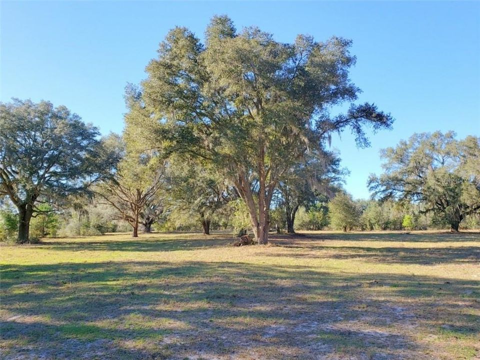 Recently Sold: $89,900 (11.60 acres)