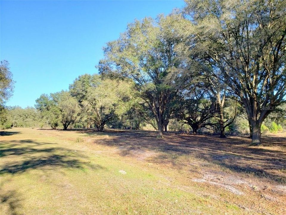 Recently Sold: $89,900 (11.60 acres)