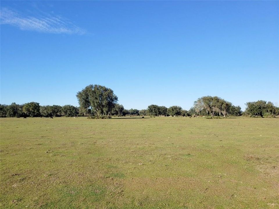 Recently Sold: $89,900 (11.60 acres)