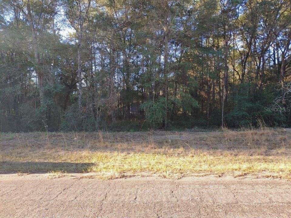 Recently Sold: $8,000 (0.37 acres)