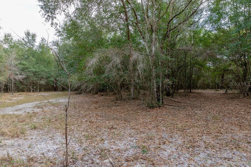 Recently Sold: $155,000 (10.11 acres)