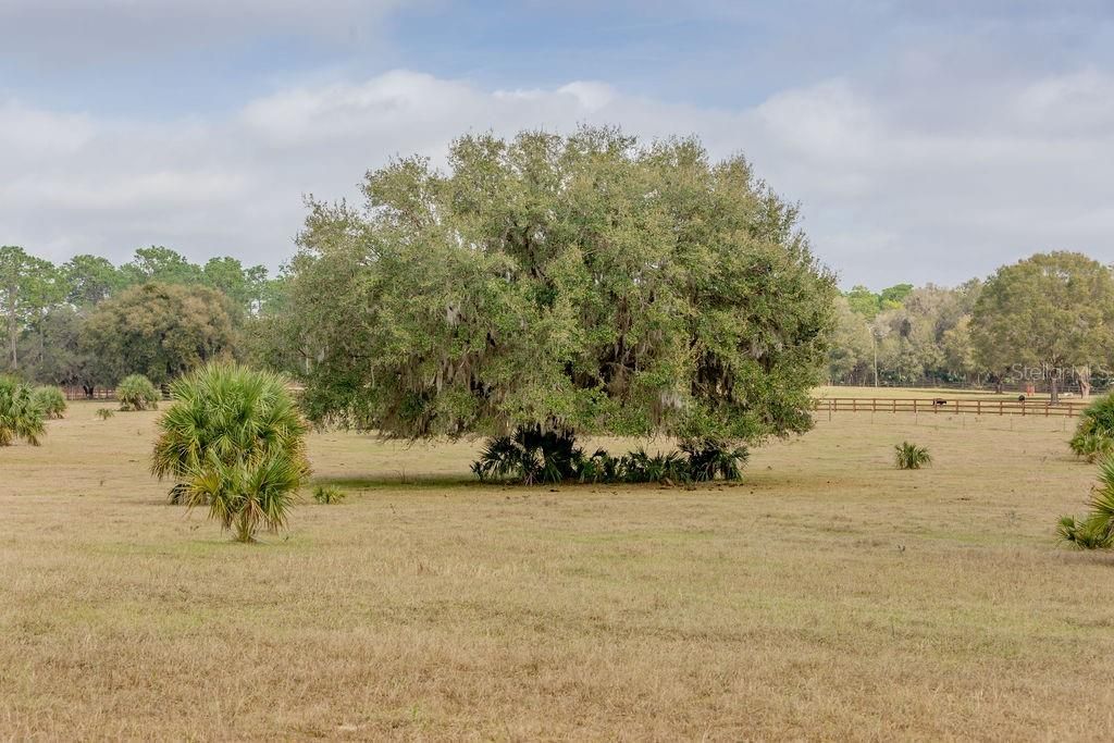 Recently Sold: $155,000 (10.11 acres)