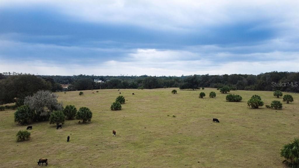 Vendido Recientemente: $155,000 (10.11 acres)