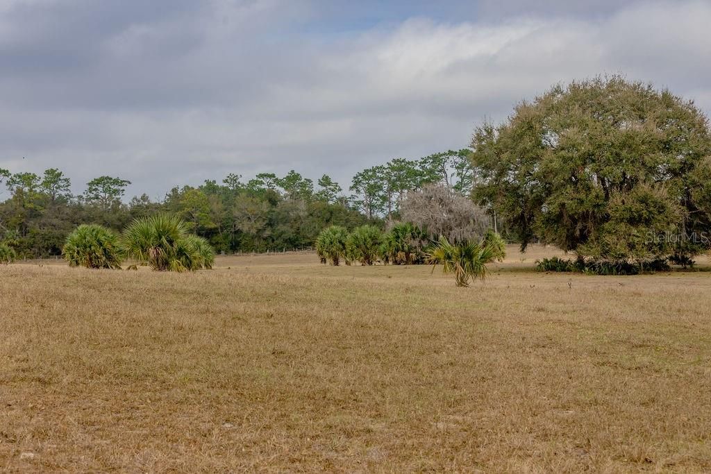 Recently Sold: $155,000 (10.11 acres)