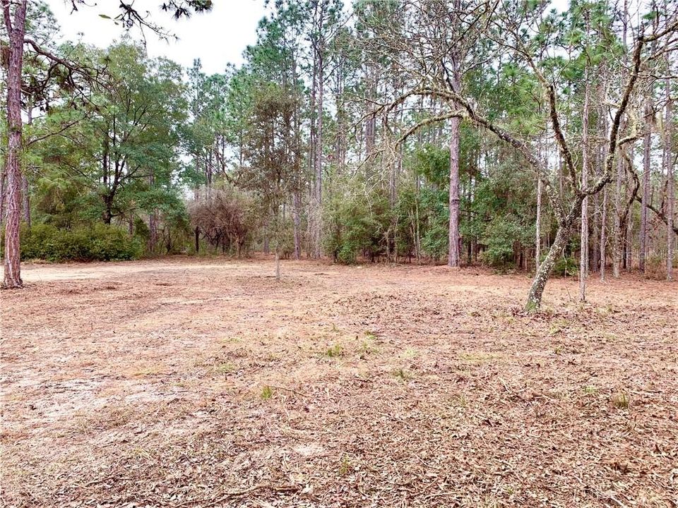 Recently Sold: $79,900 (4.78 acres)