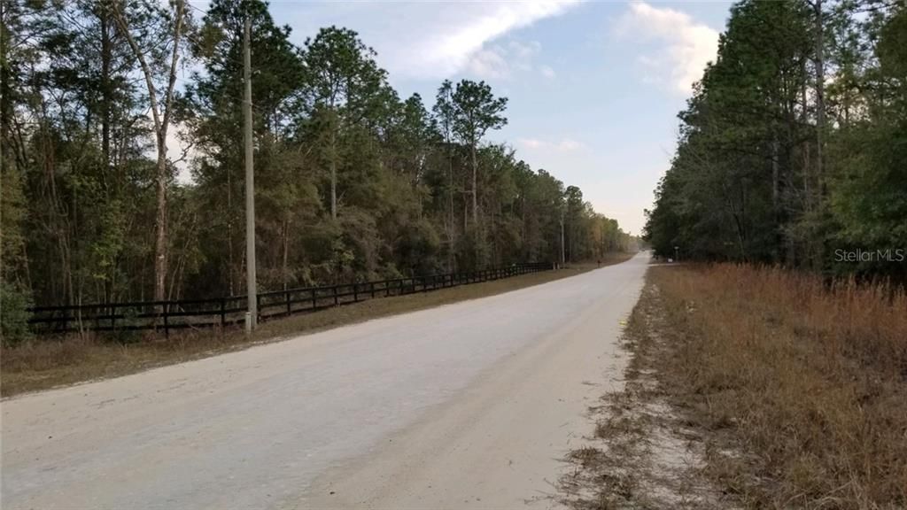 Road Looking South